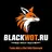 BLITZFOXHUB.COM AI/BOT